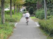 Bild 3: Die Furtmarkierungen verleiten zum regelwidrigen Gehwegradeln. Bild 3: Die Furtmarkierungen verleiten zum regelwidrigen Gehwegradeln.