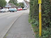 Bild 10: Die Pflanzen wurden zurückgeschnitten. Bild 10: Die Pflanzen wurden zurückgeschnitten.