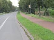 Bild 4: Der Mehrzweckstreifen hat eine deutlich bessere Oberflächenqualität als der Radweg