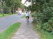 Bild 5: ... ragen weiterhin Pflanzen in den Weg hinein.