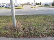 Bild 6: Der Grünstreifen sollte hier befestigt werden. Bild 6: Der Grünstreifen sollte hier befestigt werden.