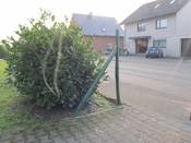 Bild 2: Die Vorderräder des Pkw stehen schon auf dem Gehweg Bild 2: Die Vorderräder des Pkw stehen schon auf dem Gehweg