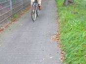 Bild 8: Hier ist der Weg nur ca. 1.60 m schmal