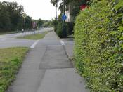 Bild 4: Die Hecke ist im Einmündungsbereich sehr hoch.