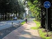 Bild 8: Der neue Radweg wird oft verkehrswidrig in der falschen Richtung benutzt, ... Bild 8: Der neue Radweg wird oft verkehrswidrig in der falschen Richtung benutzt, ...