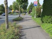 Bild 4: Ab der Einmündung der Kolpingstraße beginnt ein ca. 80 m kurzer Geh-/ Radweg Bild 4: Ab der Einmündung der Kolpingstraße beginnt ein ca. 80 m kurzer Geh-/ Radweg