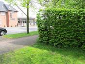 Bild 9: ... behindern die Sicht der Fußgänger und Radfahrer Bild 9: ... behindern die Sicht der Fußgänger und Radfahrer