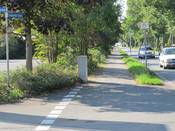 Bild 2 vom September 2013: Hier wurde der Pflanzenbewuchs ...