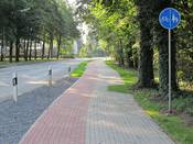 Bild 1: Der Radweg ist mit 1,20 m und der Gehweg mit 1,70 m zu schmal. Bild 1: Der Radweg ist mit 1,20 m und der Gehweg mit 1,70 m zu schmal.