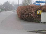 Bild 2: Die Hecke wächst 60 cm in den öffentlichen Verkehrsraum hinein