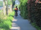 Bild 1 vom Juli 2012: Der in beiden Fahrtrichtungen befahrbare Geh- und Radweg ist durch Pflanzenbewuchs stark eingeengt Bild 1 vom Juli 2012: Der in beiden Fahrtrichtungen befahrbare Geh- und Radweg ist durch Pflanzenbewuchs stark eingeengt
