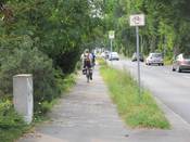 Bild 1: Der nur 2 Meter breite Geh-/ Radweg wird durch Bewuchs um ca. 60 cm eingeengt.