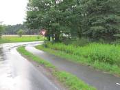 Bild 1: Das Eckgrundstück ist dicht bewachsen