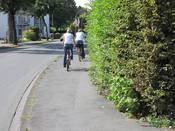 Bild 3: Die Hecke engt den Geh-/ Radweg um ca. 0,5 m ein. Bild 3: Die Hecke engt den Geh-/ Radweg um ca. 0,5 m ein.