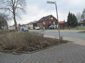 Bild 8: Anfang 2013 wurden die Anpflanzungen zurückgeschnitten.