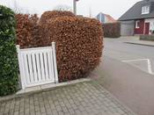 Bild 5: ... haben keine Sicht auf den Fuß- und Radweg