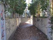 Bild 3: Die Glasflächen sind mit Pflanzen zugewachsen Bild 3: Die Glasflächen sind mit Pflanzen zugewachsen